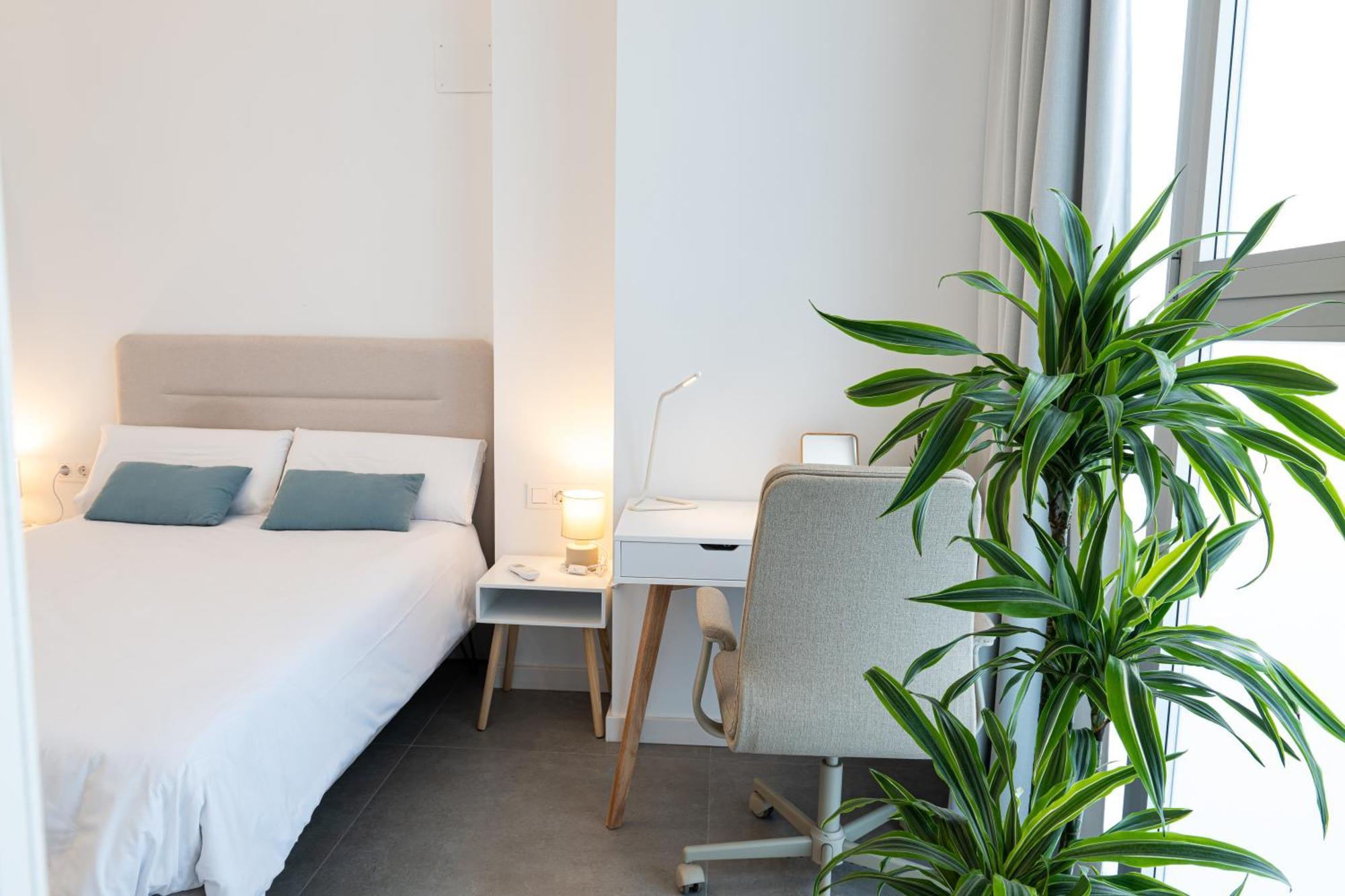 Apartament Main Lofts Walencja Zewnętrze zdjęcie